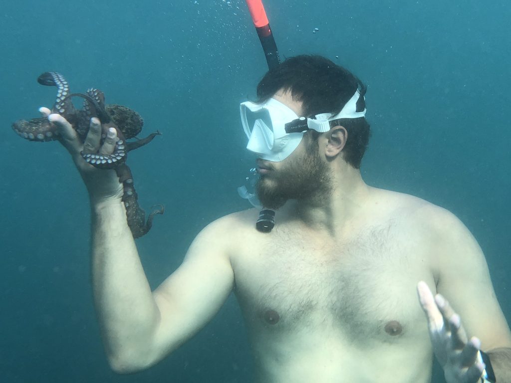 If you don’t think Octopuses Are Amazing, Read&nbsp;This!